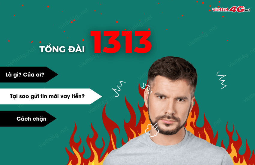 1313 la tong dai gi