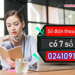 Số điện thoại có 7 số 0241091