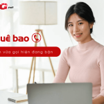 thue bao quy khach vua goi hien dang ban