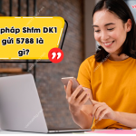 Shfm DK1 gui 5788 la gi