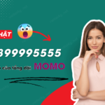 So 02899995555 o dau co phai lua dao khong