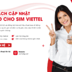 cach cap nhat cccd cho sim viettel