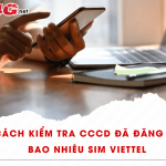 kiem tra cccd dang ky bao nhieu sim