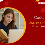 phi lam sim chinh chu bao nhieu tien