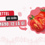 Goi cuoc TOM690-12 Viettel la gi