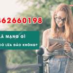 02462660198 la mang gi