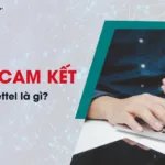 sim cam ket viettel la gi