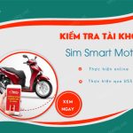 kiem tra tai khoan sim smart motor