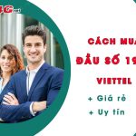 mua dau so 1900 viettel