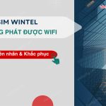 sim wintel khong phat duoc wifi