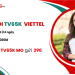 Cach dang ky goi TV65K Viettel