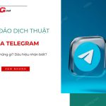 lua dao dich thuat qua telegram