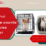 viettel post co van chuyen thu cung khong