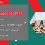 Your SMS LTD la gi