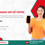 chuyen mang giu so viettel