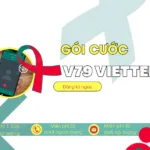 goi cuoc v79 viettel