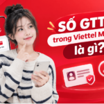so gttt trong viettel money la gi