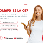 goi tom690_12 la gi