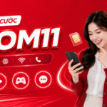 goi cuoc tom11 viettel