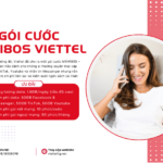 goi cuoc mxh180s viettel