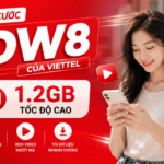 goi cuoc dw8 viettel
