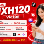 goi cuoc mxh120 viettel